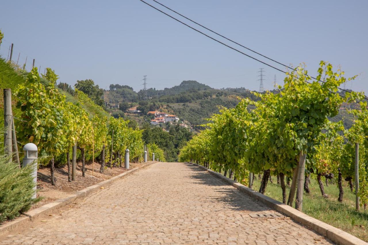 Quinta Da Granja Daire Baião Dış mekan fotoğraf